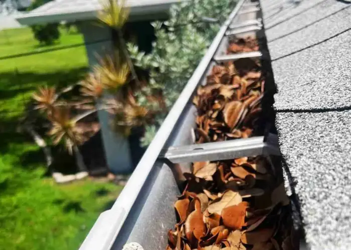 Fair Oaks gutter cleaning home page